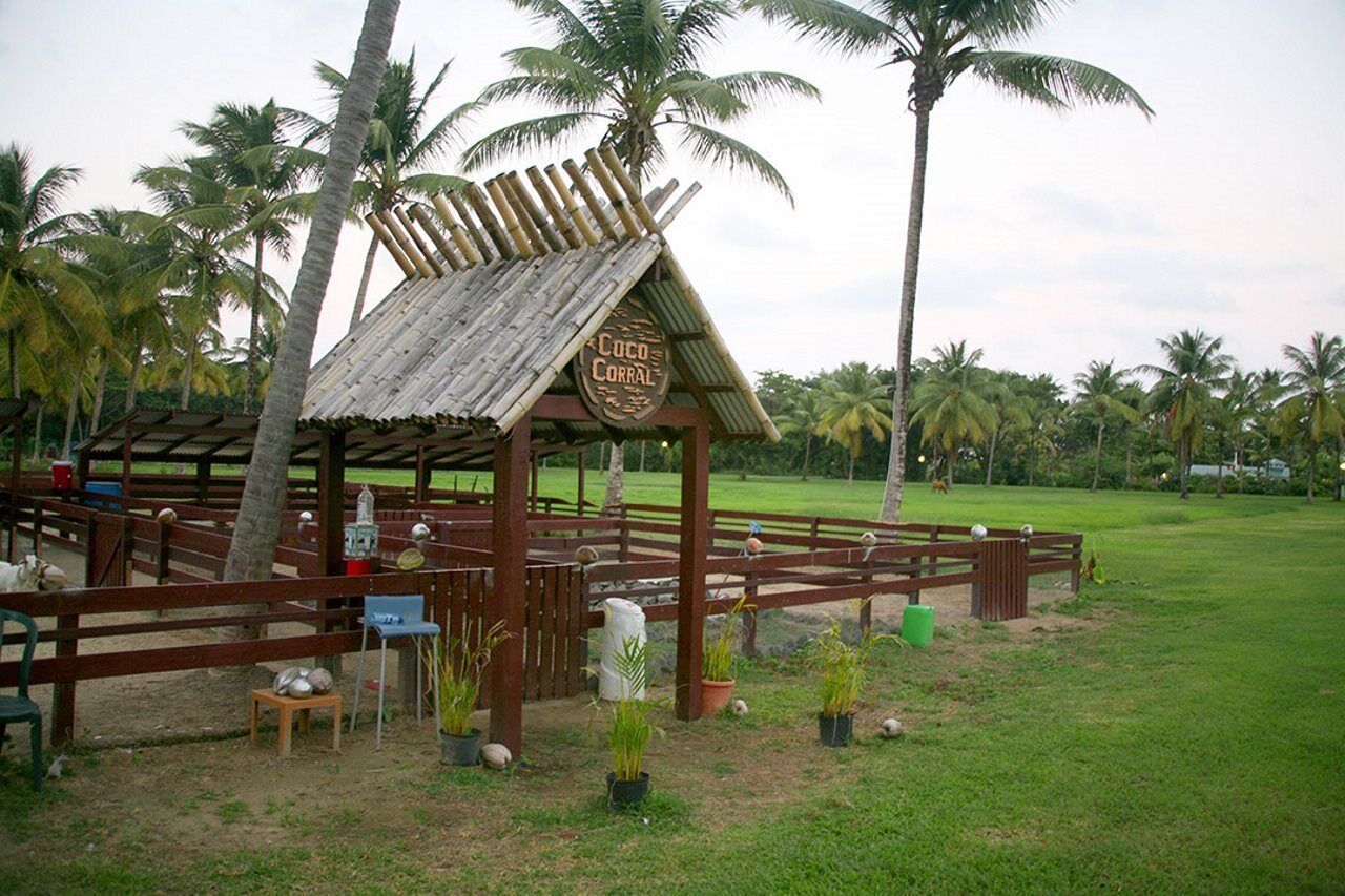 Coconut Bay Beach Resort & Spa All Inclusive Vieux Fort Saint Lucia Exterior foto